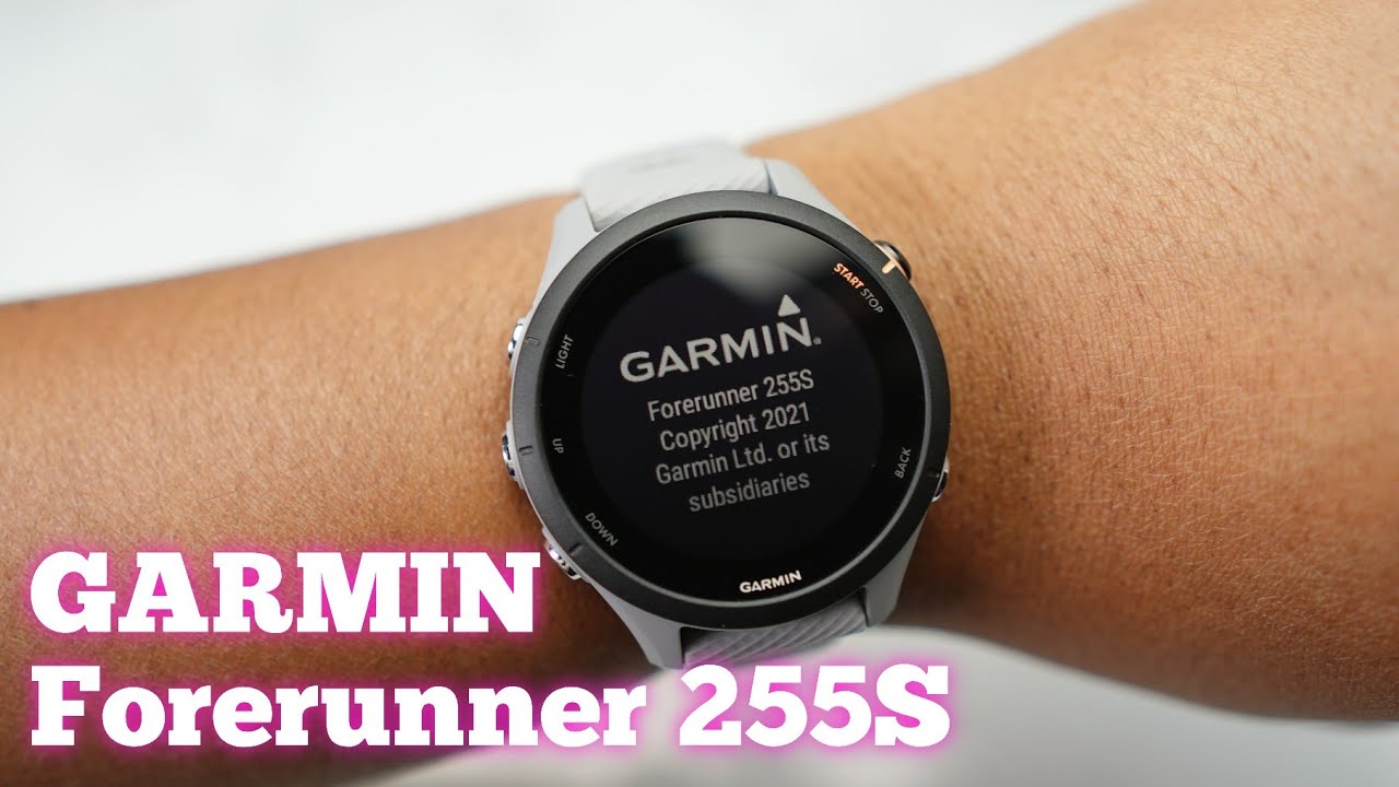 Garmin Forerunner 255 Gray Gray