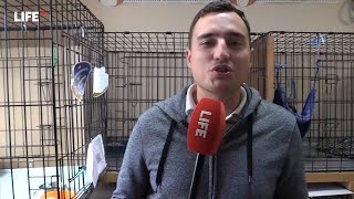 Бездомных котят отдают в добрые руки (канал Life) Бездомных котят отдают в добрые руки (канал Life)