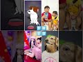 junya jr. Funny Video😂😂😂 |Junya jr. BEST Tiktok!! #shorts #cocomelon #Junyajr.