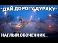 Автоподборка "Дай Дорогу Дураку"🛑Наглый Обочечник#225