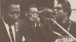 Little Walter-It's Too Late Brother chords