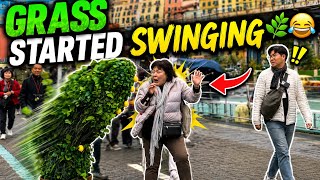 Bushman Prankplant Started Stalking