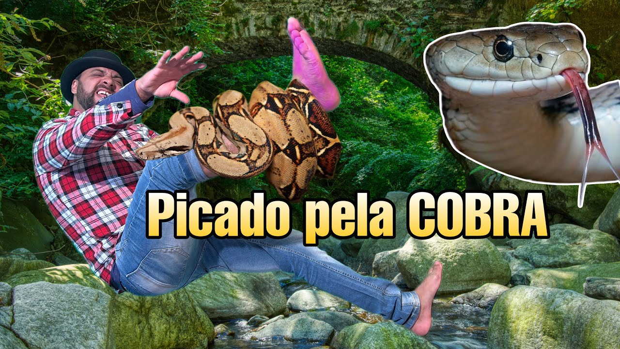 A busca pela SEREIA e seu TESOURO acabou em TRAGÉDIA (jack charles)