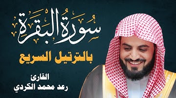 سورة البقرة بالترتيل السريع - الشيخ رعد الكردي | Surat Al-Baqarah tartil cepat