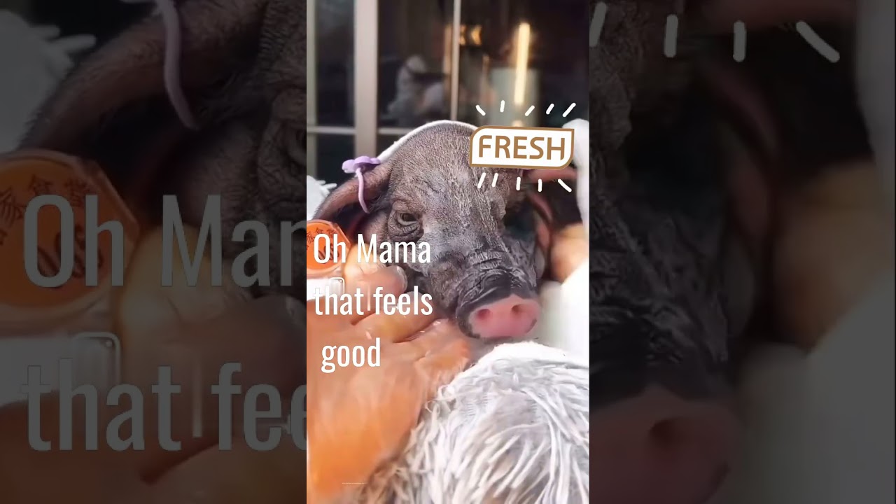 Watch The Best in Skin Care Routines--Always Joe on YouTube Watch The Best in Skin Care Routines--Always Joe on YouTube