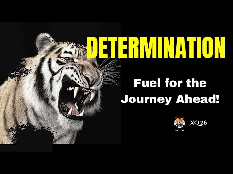 MOTIVERSITY - BEST OF 2024 -  Best Motivational Speech Video