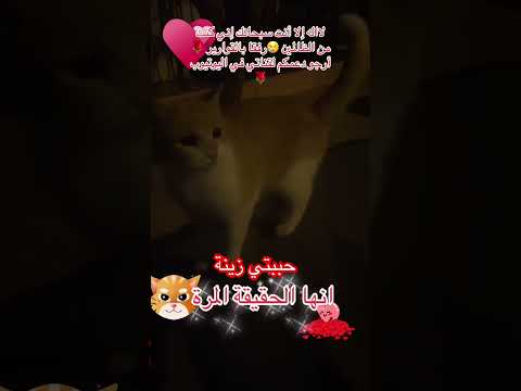 لااله الا انت سبحانك اني كنت من ظالمين رفقابالقوارير المغرب لايك اشتراك اكادير