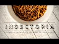INSECTOPIA 🟤 Entomological Delicacy | The World of Edible Insects: the Food of the Future?