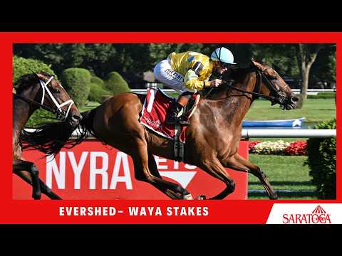2026 Waya Stakes