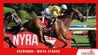 2026 Waya Stakes