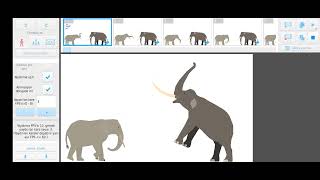 Palaexodon Namadicus VS Elephant