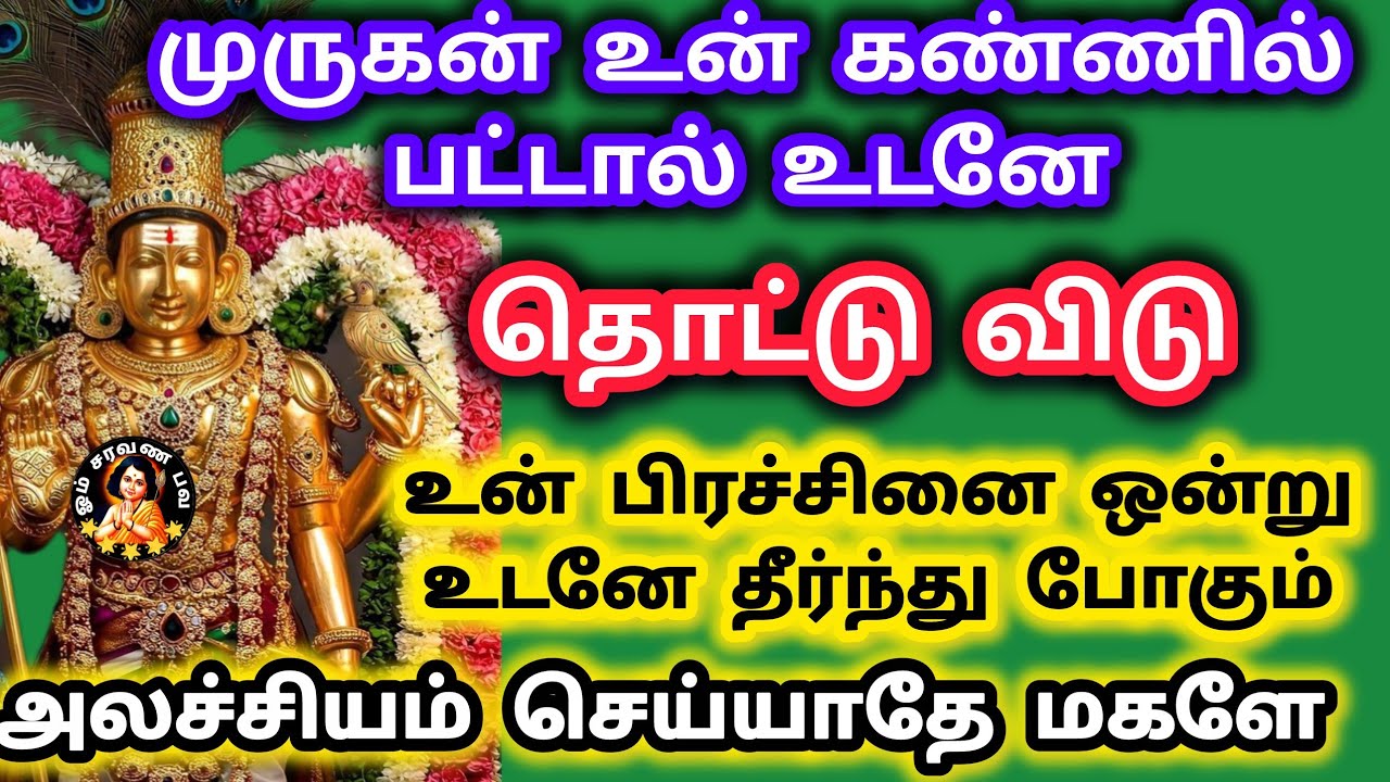 முருகன் உன் கண்ணில் பட்டால் உன் பிரச்சினை ஒன்று தீர்ந்து போகும் நீ என்னை தொட்டால் நல்லது நடக்கும்