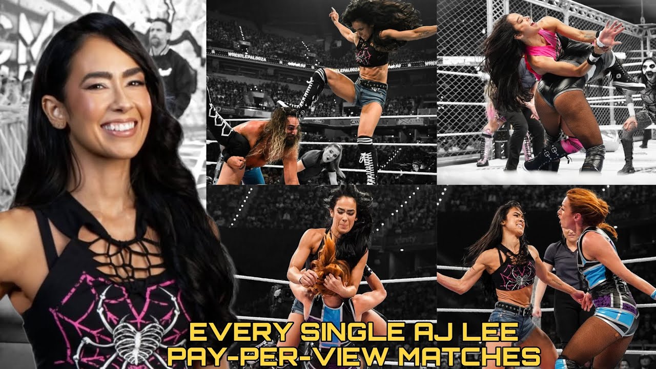 EVERY SINGLE AJ LEE WWE PAY-PER-VIEW MATCHES 