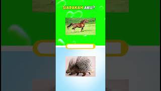 Tebak gambar part 2 #edukasi #edukasianak #hewan #tebakgambar #tebaktebakan #buah