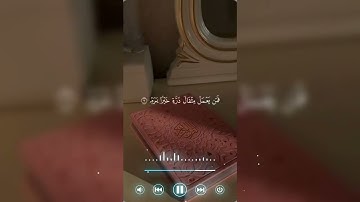 محمد صديق المنشاوي سورة الزلزلة