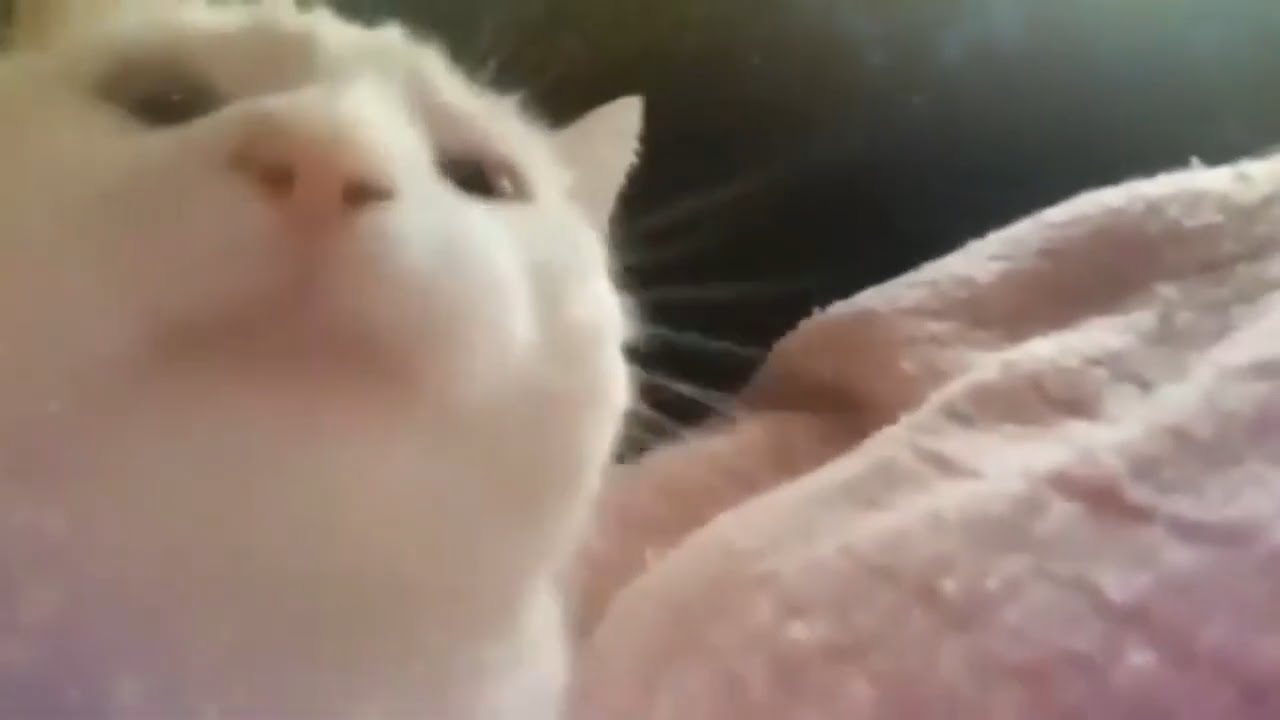 Я богдан я богом
