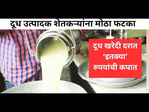 दूध उत्पादक शेतकऱ्यांना मोठा फटका! दूध खरेदी दरात ‘इतक्या’ रुपयांची कपात #milkrate #farmer