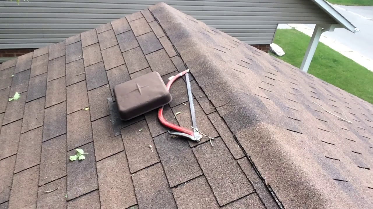 trees too close to house can cause damage. Part 3 YouTube