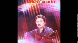 Turgay Merih - Dalıp Dalıp Gidiyorum