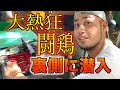 【フィリピン闘鶏】初体験のチキンファイトの裏側に潜入したら衝撃的すぎた