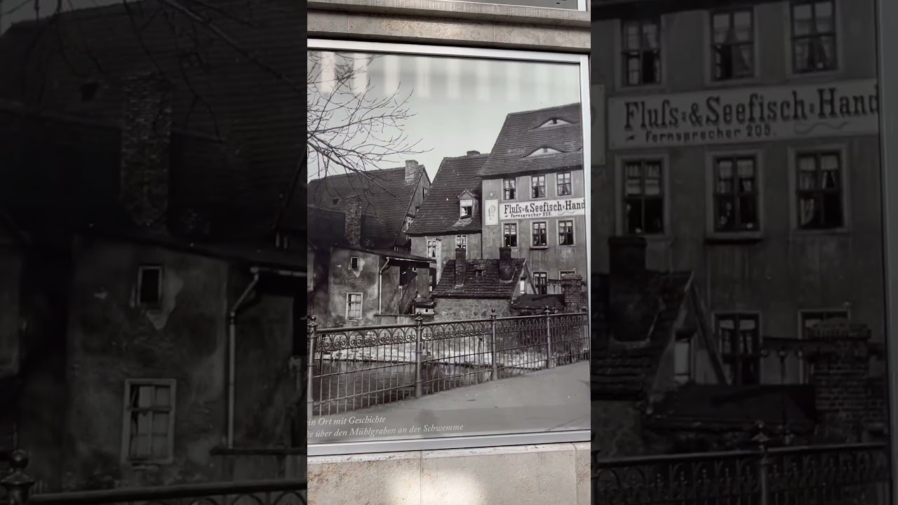 old photos of the city ✨ Halle Germany 