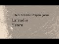 &quot;Kedi Resimleri Yapan Çocuk&quot; Lafcadio HEARN sesli öykü Akın ALTAN