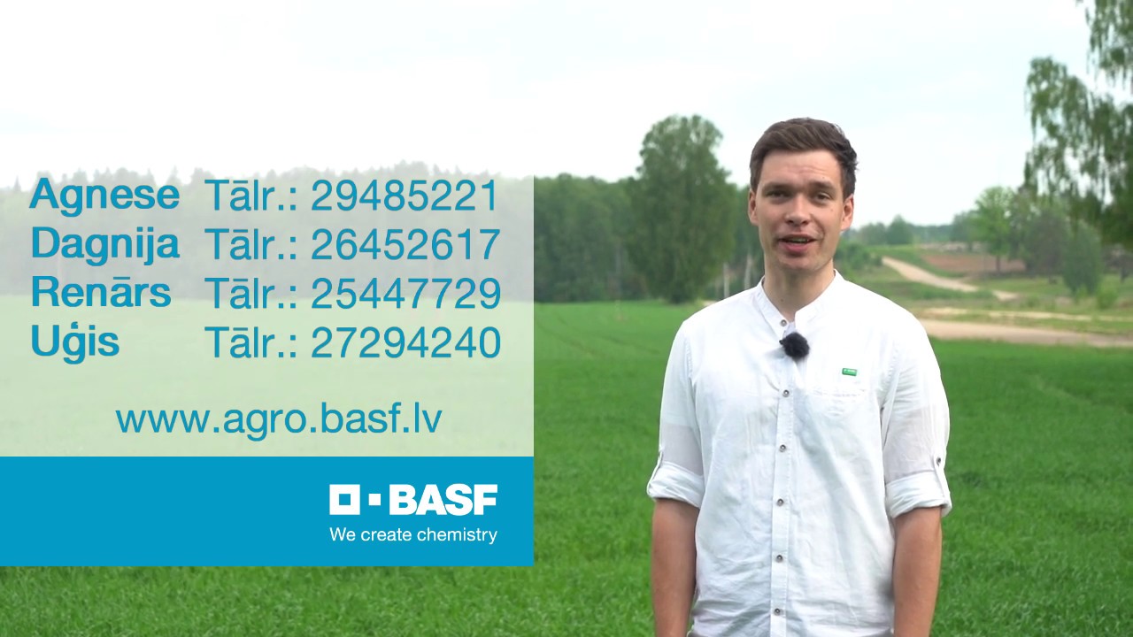 Auzas stiebrošanas sākumā – regulatora un fungicīda izvēle