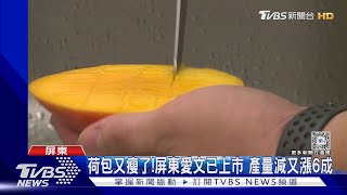 荷包要瘦了! 愛文芒果今夏漲6成 玉荷包漲2成TVBS新聞 @TVBSNEWS01