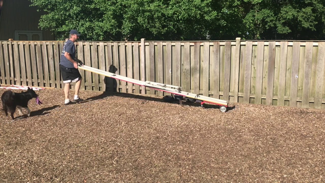 One Person Dog Agility Teeter Mover YouTube