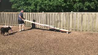 One Person Dog Agility Teeter Mover