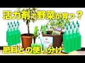 【衝撃】活力剤で野菜が育つのか？液体肥料や固形肥料との使い分けと農家や観葉植物での使い方