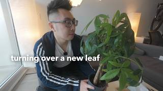 A fresh start, my plant friends &amp; a mini apartment makeover. I'll be here for a while...