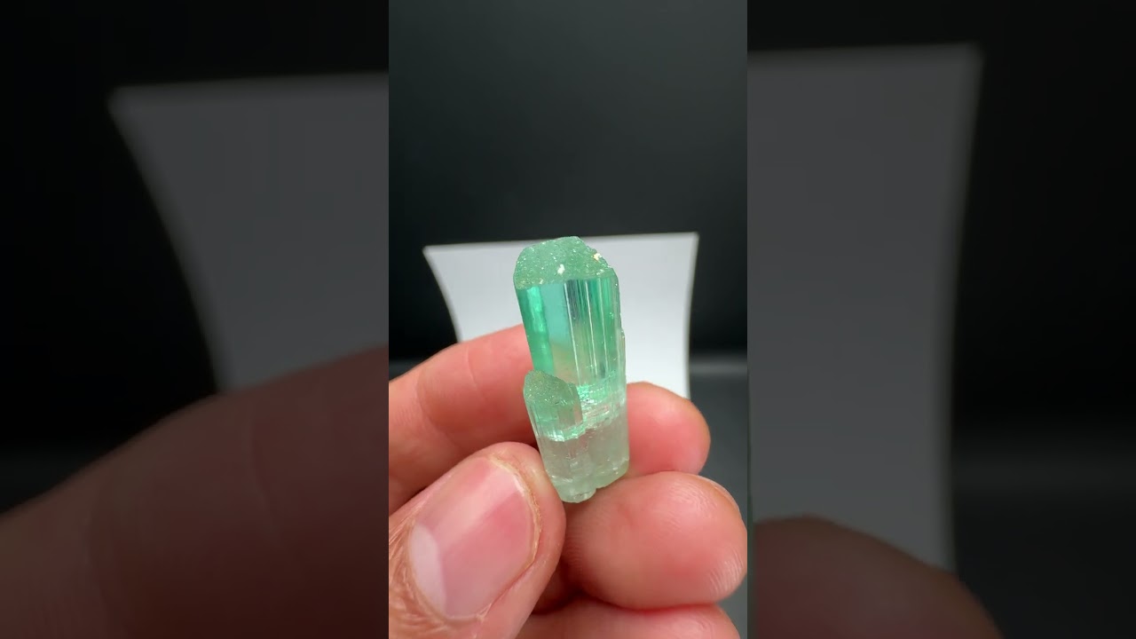 Tourmaline Crystal - Afghanistan  | Fine Art Minerals | Fine | Mineral | Specimen |