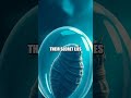Tardigrades: The Tiny Astronauts Who Survived Space