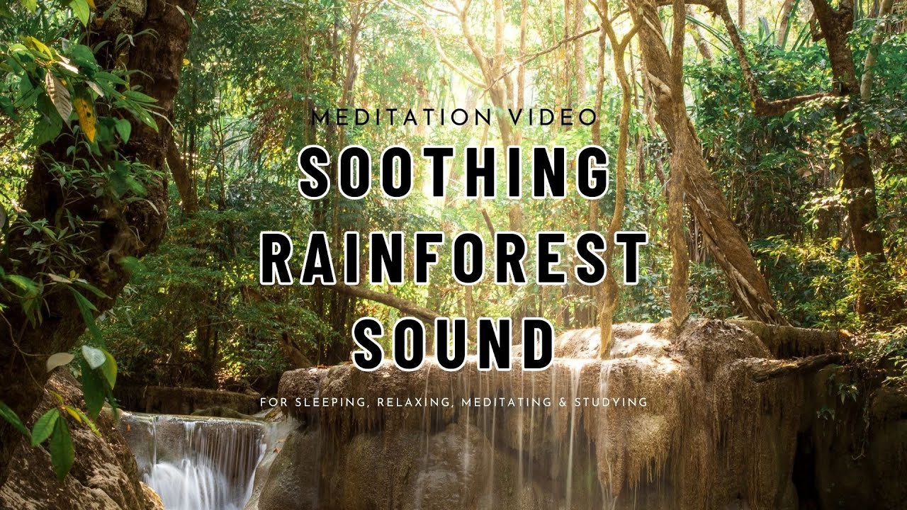 Soothing Rainforest Sound For sleeping, relaxing, meditating