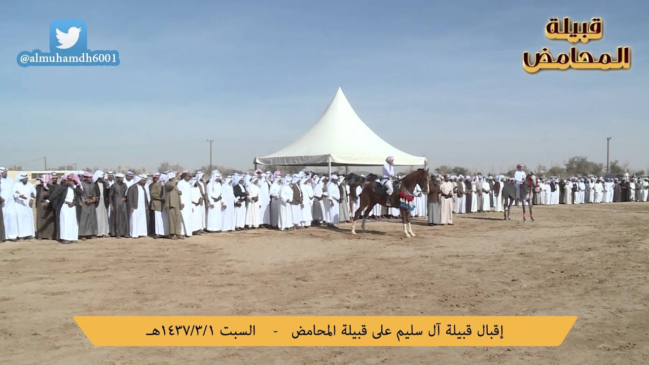 إقبال قبيلة آل سليم على قبيلة المحامض