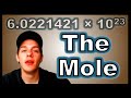 Understanding the Mole Concept