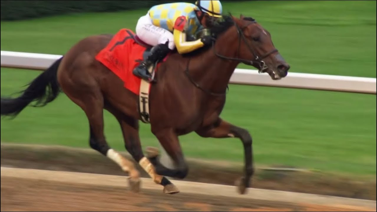 STRATEGIC RISK выигрывает скачки Smarty Jones Stakes с призовым фондом 250 000 долларов на ипподр...