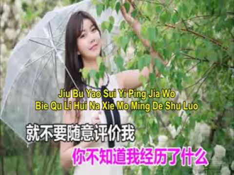 ZHEN XIN DE REN MEI YOU JI GE ( 真心的人没有几个 )PINYIN LYRICS