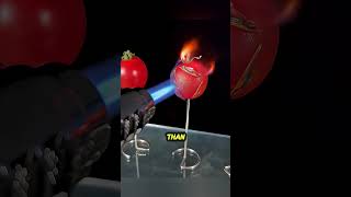 Extreme Tomato Experiment – Total Burn!. #viralshorts