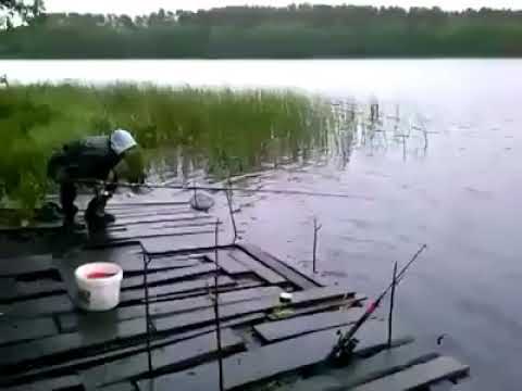 Pescaria que Nao deu muito certo..kkkk - YouTube ANECHINIK MOTORSPORT