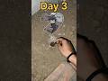 Day-3 🥄 Dig 🪏 With Spoon challenge 😱😮