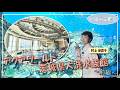 いばらき推し「アクアワールド茨城県大洗水族館～前編～（大洗町）」【出演：村上佳菜子】