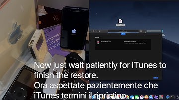 Downgrade iOS 13 Developer Beta/iPad OS Beta to iOS 12.3.1/12.3