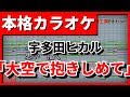 【フル歌詞付カラオケ】大空で抱きしめて(宇多田ヒカル)【野田工房cover】