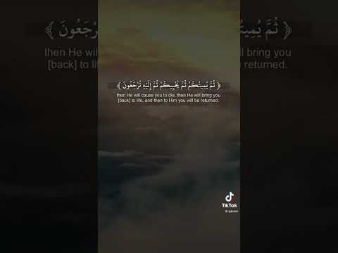 كيف تكفرون بالله وكنتم اموات ا ماهر المعيقلي