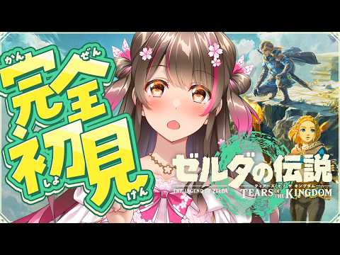 完全初見で『ゼルダの伝説 ティアーズ オブ ザ キングダム』の世界へ！新しい冒険のはじまりだ！【Switch2版 #9】