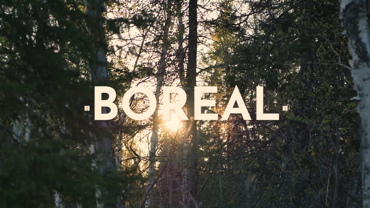 L'indécis & Ghostnaut - Boreal (Music Video)