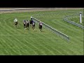 MONMOUTH PARK 08-15-2026 RACE 3