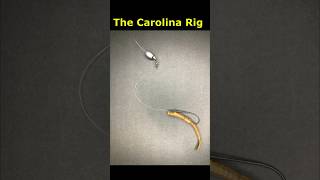 The Carolina Rig #fishing #bassfishing #carolinarig